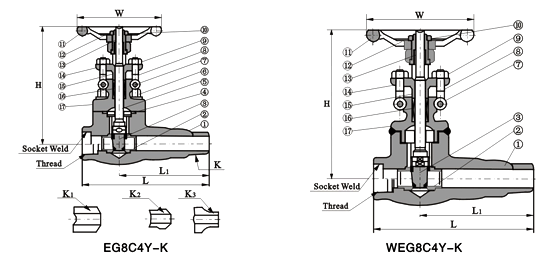 extended body gate valve